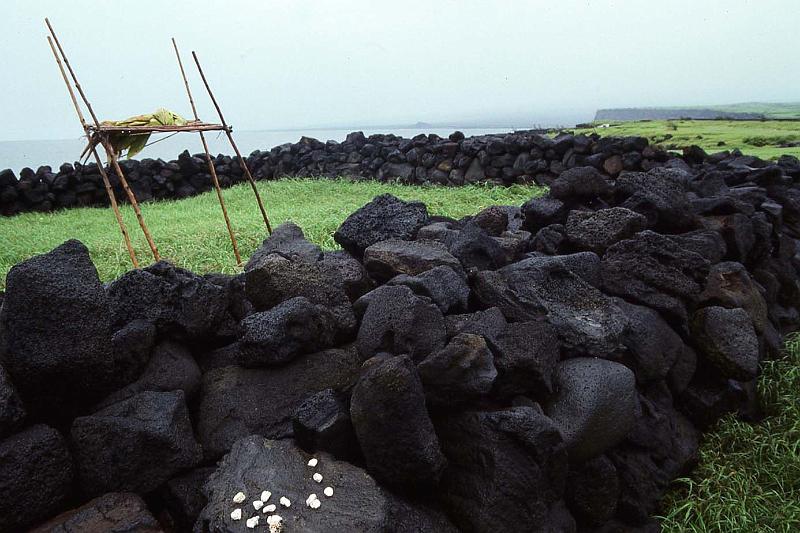 WT 0064 T10-10 Hawaii.jpg